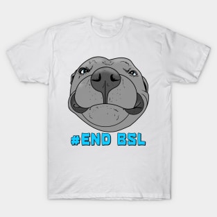 #End BSL T-Shirt